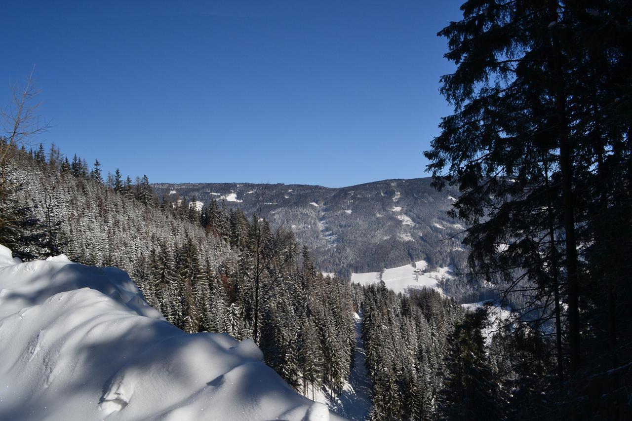 Gasthof Oberer Gesslbauer Stanz Im Murztal Exterior photo